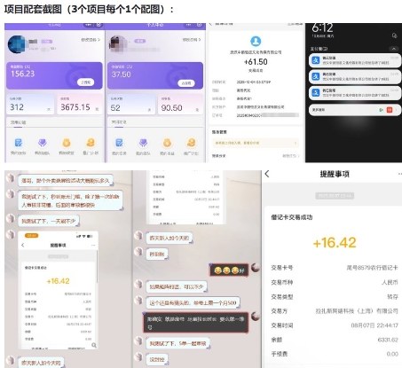当天能收益的3个小项目拆解_包括平台+操作流程-赚百科