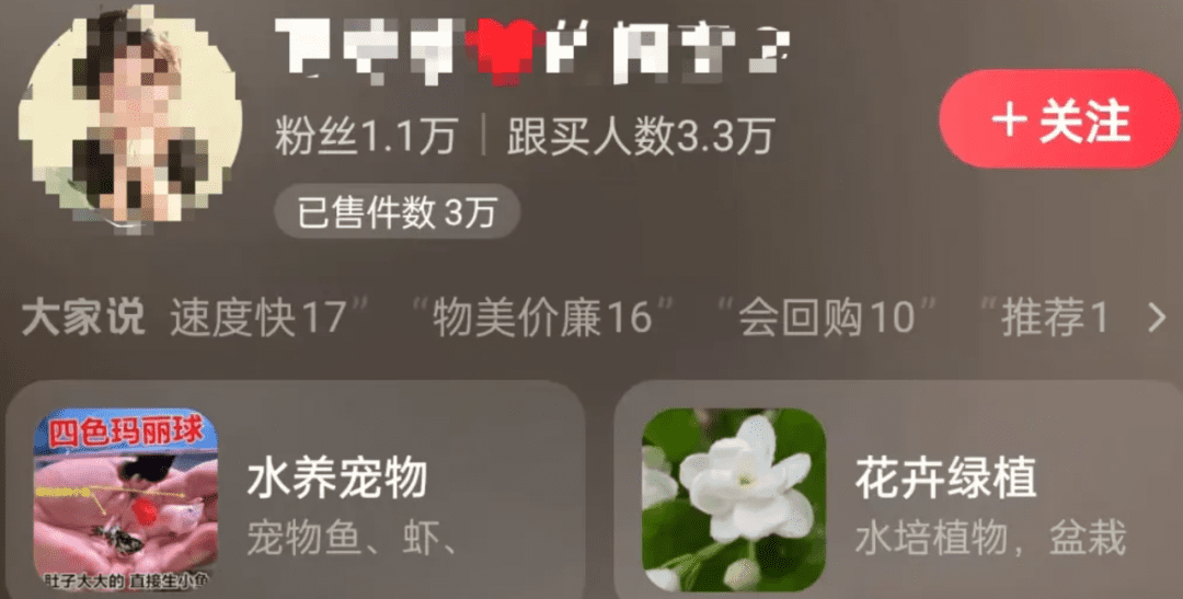 小众赛道不卷,短视频卖绿植月入6w+-赚百科