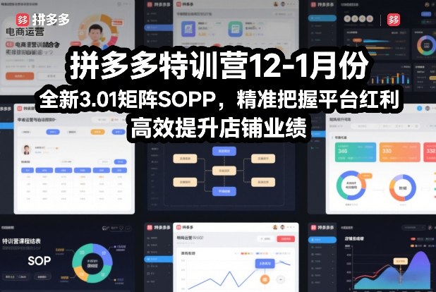 拼多多特训营12-1月份，全新3.01矩阵Sop，精准把握平台红利，高效提升店铺业绩-赚百科