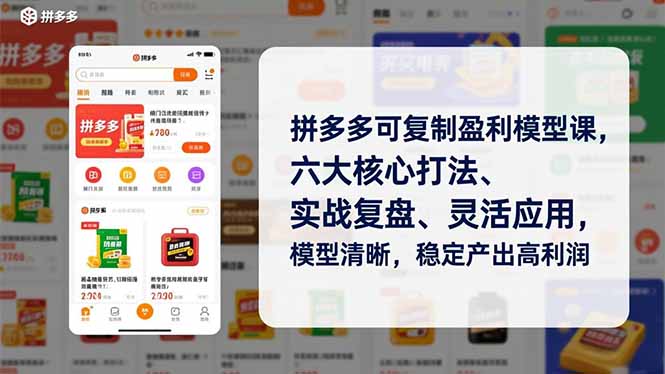 拼多多可复制盈利模型课，六大核心打法、实战复盘、灵活应用，模型清晰，稳定产出高利润-赚百科