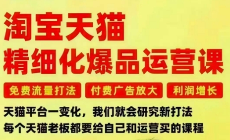淘宝天猫精细化爆品运营课，免费流量打法-付费广告放大-利润增长-三大核心痛点，一次全部解决-赚百科