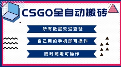 CSGO全自动搬砖，年底钱回家好项目，当天可拿到结果，新手小白轻松月入1W+【揭秘】-赚百科