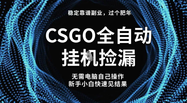 【稳定副业】全球最热门游戏CSGO全自动捡漏，最新玩法，新手小白日入5张+【揭秘】-赚百科