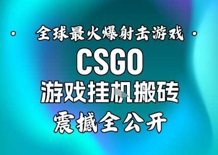 【年底大揭秘】基于全球最火爆的射击CSGO游戏挂G搬砖，日入5张+，震撼公开-赚百科