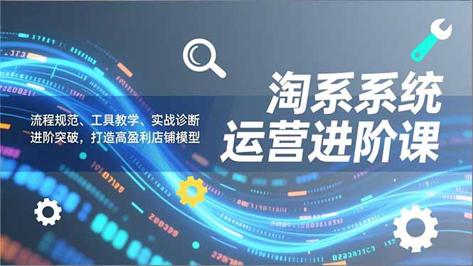 淘系系统运营进阶课2.0，流程规范、工具教学、实战诊断，进阶突破，打造高盈利店铺模型-赚百科