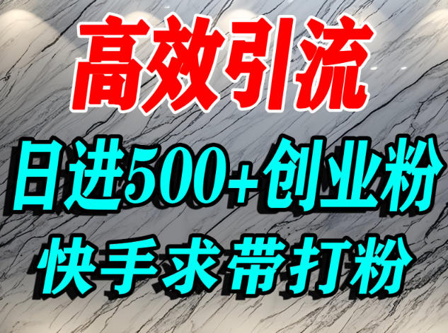 怎么打创业粉？快手求带视角精准引流创业粉，宝妈、学生群体日进500+精准流量-赚百科