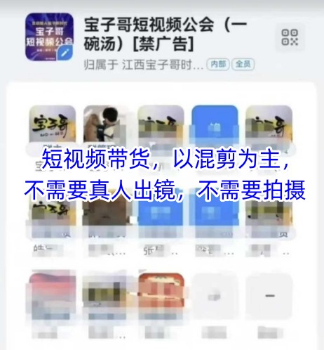 宝子哥头部团队短视频带货，以混剪为主，不需要真人出镜，不需要拍摄【更新11月】-赚百科
