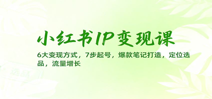 小红书IP变现课：6大变现方式，7步起号，爆款笔记打造，定位选品，流量增长-赚百科