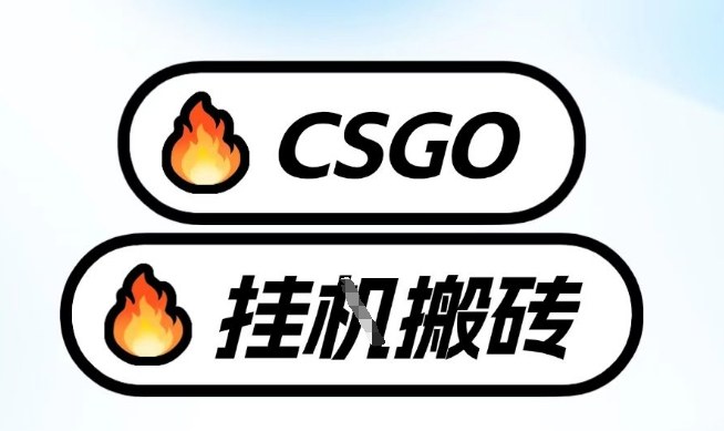 真全网独家CSGO挂G，最新玩法,单日捡漏1K+，不用电脑，不用打游戏【揭秘】-赚百科