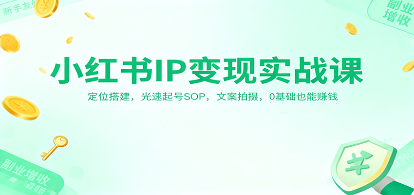 小红书IP变现实战课：定位搭建，光速起号SOP，文案拍摄，0基础也能赚钱-赚百科